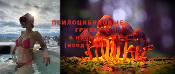 дмт Липки