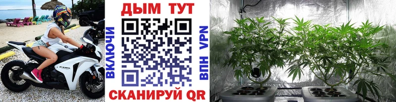 МАРИХУАНА Ganja Городовиковск